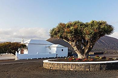 《铁拳》官方视频1分钟带你回顾系列剧情