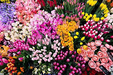 《仙剑》公布新年贺岁周边 13位女性角色新潮国风换装