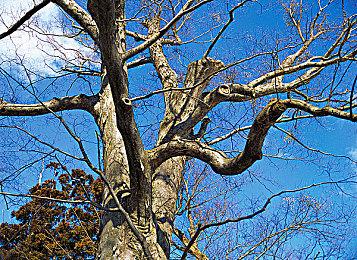 Nacon确认《机械战警：暴戾都市》NS版取消发行