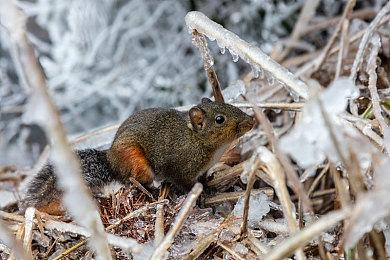 纵向卡牌构筑肉鸽游戏《铁轨与墓穴》 将于2023Q1发售